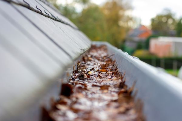 Commercial Gutter Cleaning in Yuba City