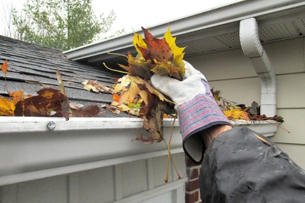 Leaf Gutter Cleaning in Yuba City