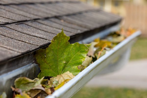 Commercial Downspout Cleaning in Yuba City