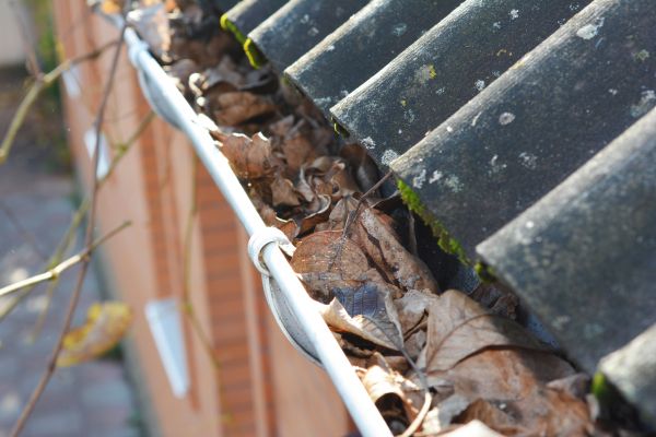 Home Gutter Cleaning in Yuba City