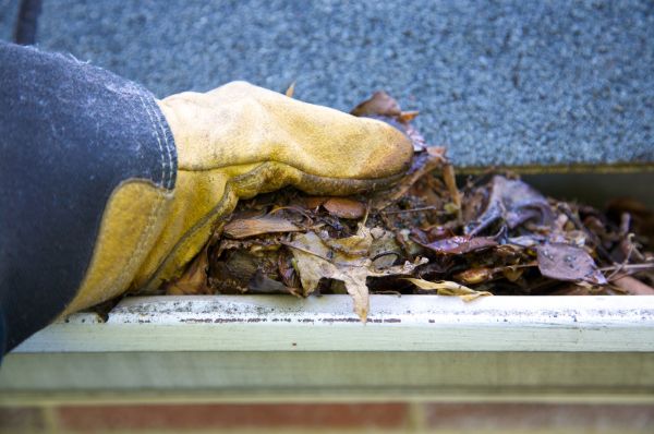 Jammed Gutter Cleaning in Yuba City