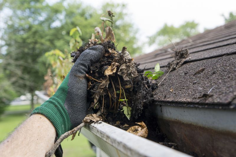 Spring Gutter Maintenance