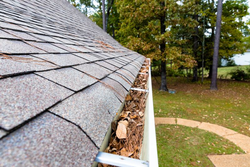 Roof Gutter Debris Removal